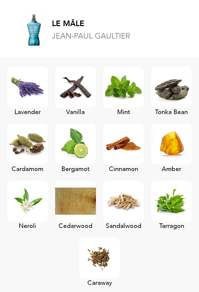 Inspirace této vůně