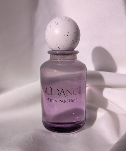 Guidance Sample