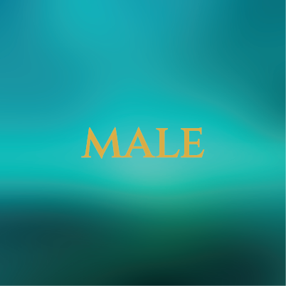 Eau de Parfum Sample 3ml