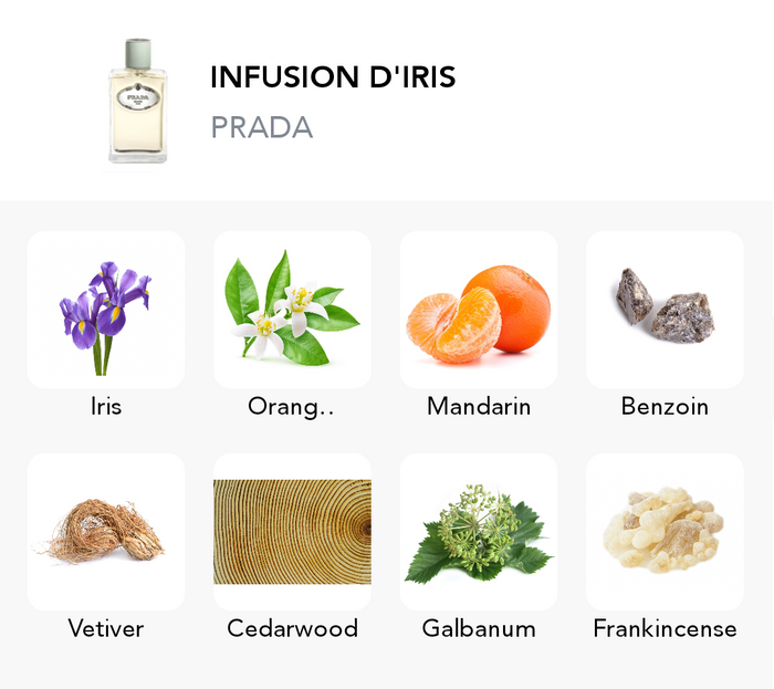 Inšpirácia tejto vône